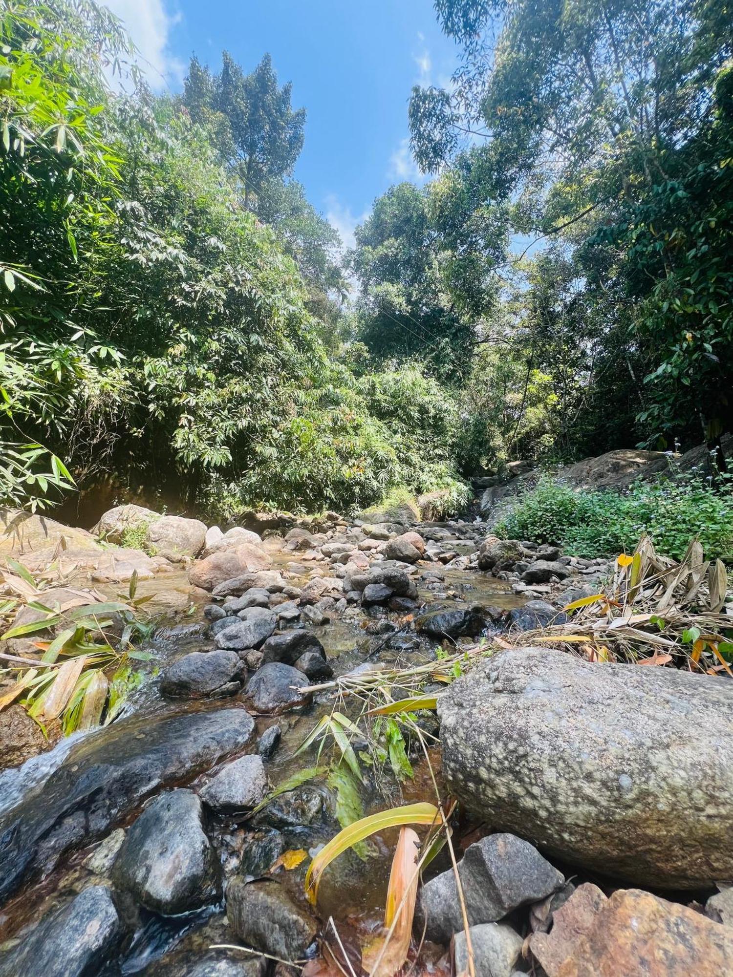 Mount Court Munnar Hotel Ngoại thất bức ảnh