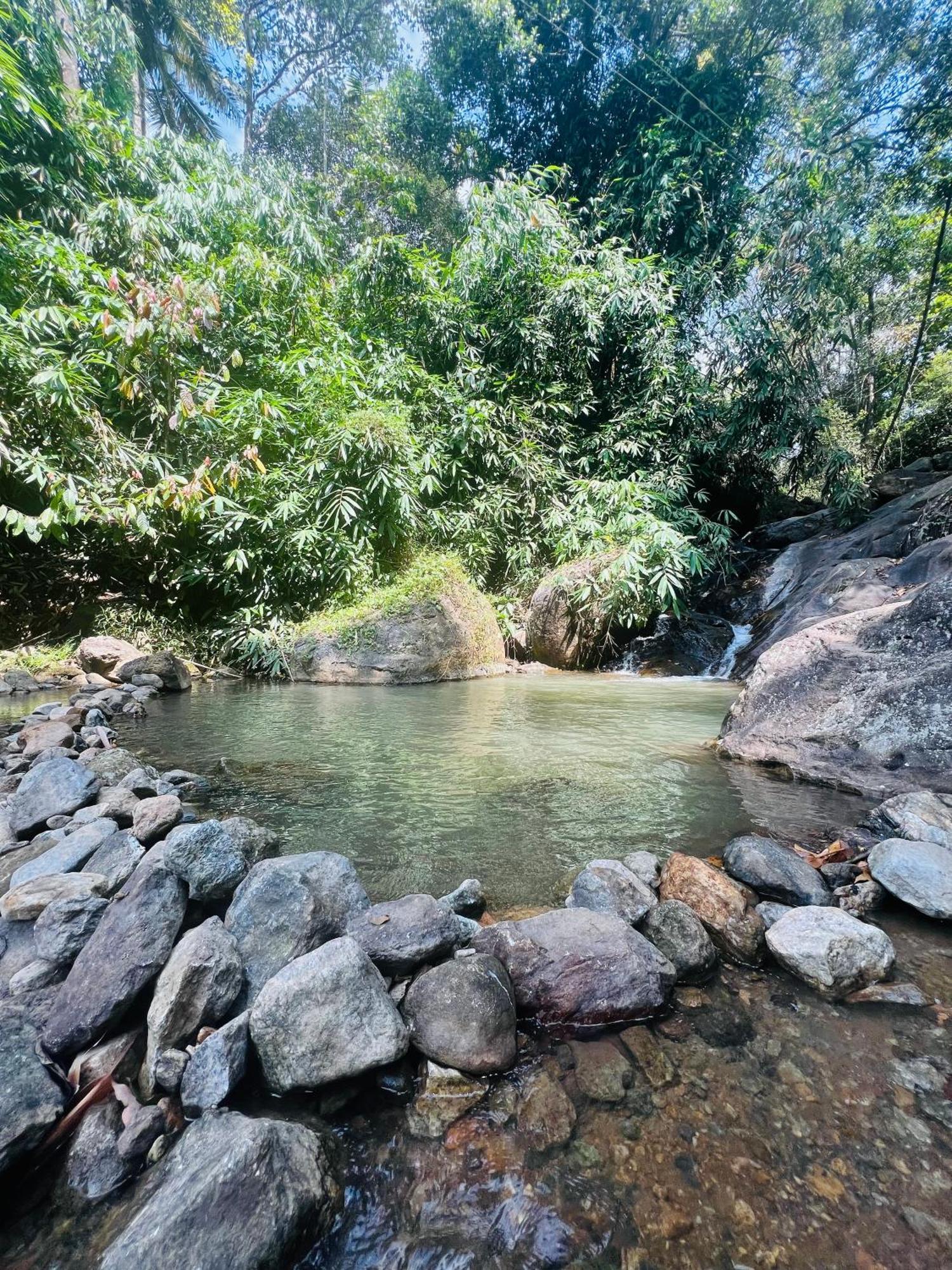 Mount Court Munnar Hotel Ngoại thất bức ảnh
