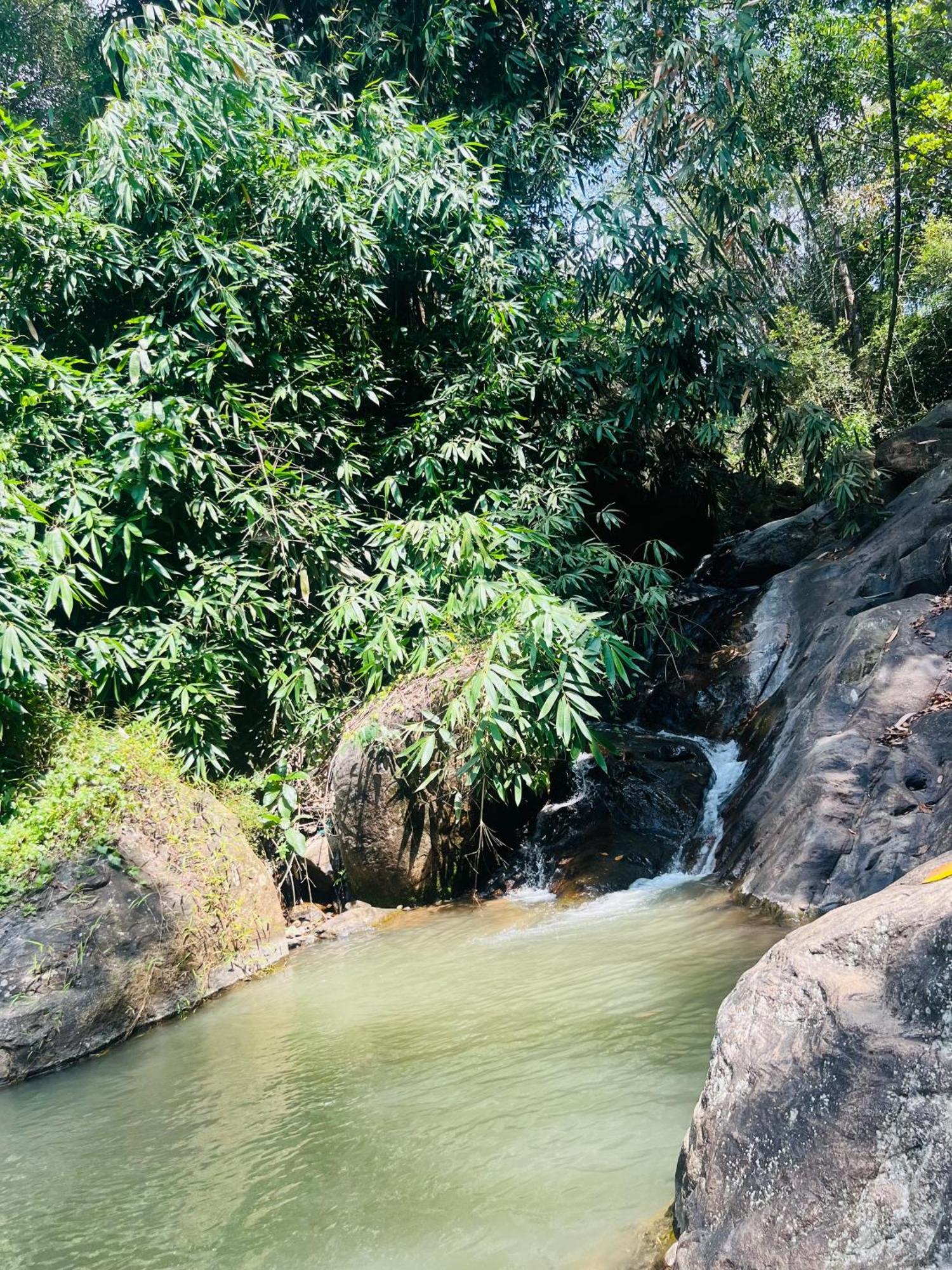 Mount Court Munnar Hotel Ngoại thất bức ảnh